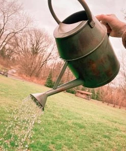 Happy Gardens New Arrivals Antique Green Watering Can