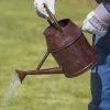 Happy Gardens Antique Red Watering Can