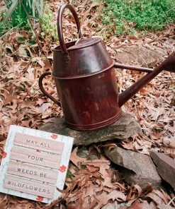 Happy Gardens Antique Red Watering Can