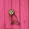 Happy Gardens Barn Owl Wall Decor 2 Happy Gardens Barn Owl Wall Decor