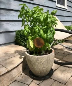 Happy Gardens Basil Herb Garden Stake Garden Stakes & Rain Gauges