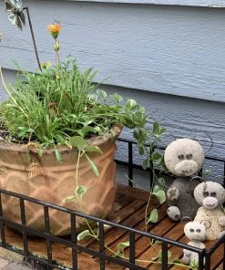 Happy Gardens Big Bear Garden Statue 10" Statues 15 Happy Gardens Big Bear Garden Statue 10