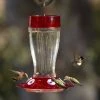 Happy Gardens Big Gulp Hummingbird Feeder 1 Happy Gardens Big Gulp Hummingbird Feeder
