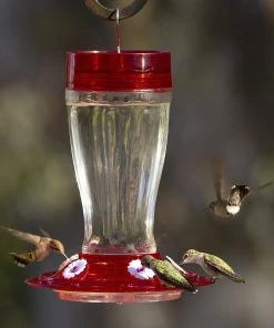 Happy Gardens Big Gulp Hummingbird Feeder