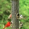 Happy Gardens Big Tube Wild Bird Feeder