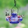 Happy Gardens Bloom Hummingbird Feeder