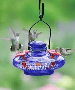 Happy Gardens Bloom Hummingbird Feeder