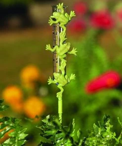 Happy Gardens Cast Brass Frog Rain Gauge Garden Stakes & Rain Gauges