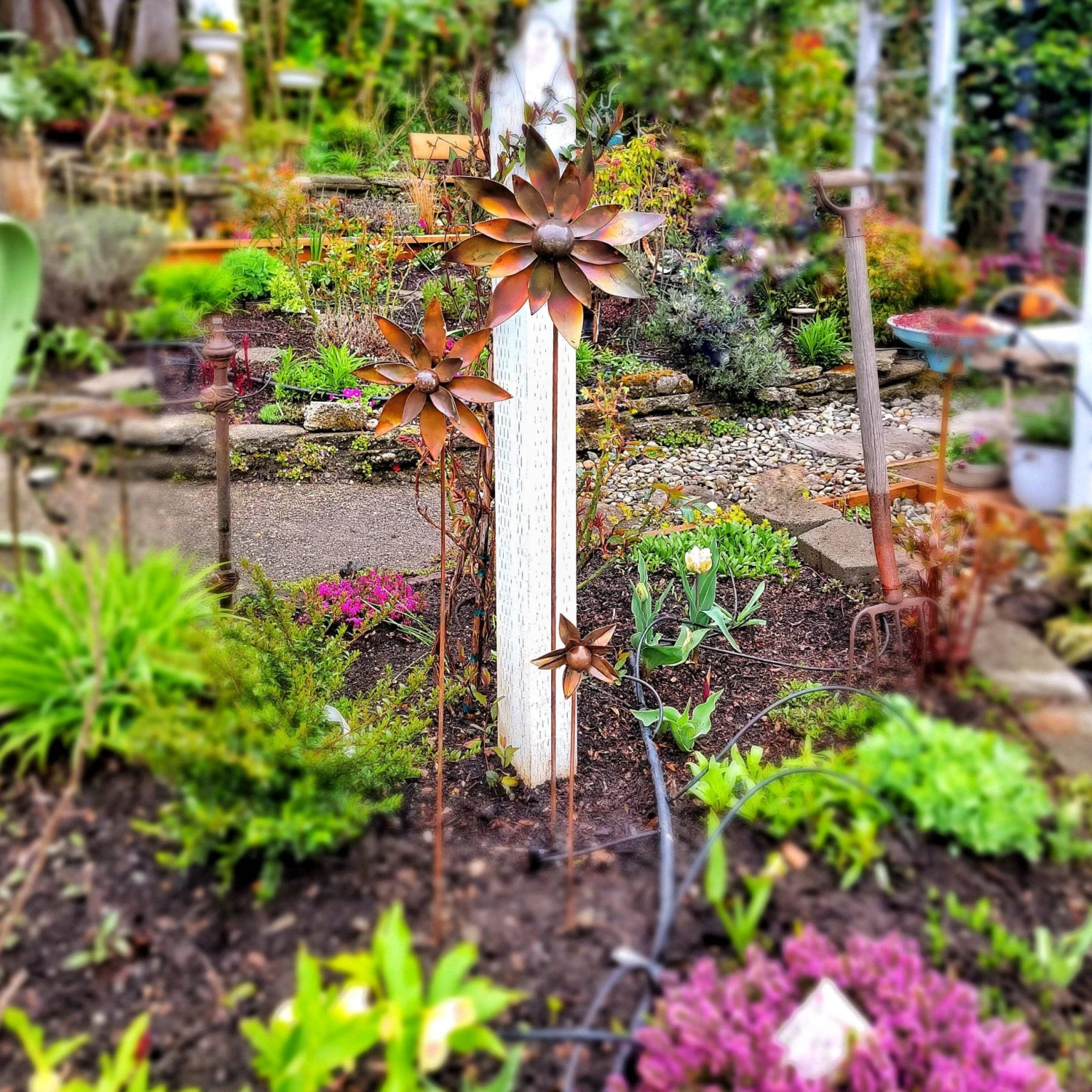 Happy Gardens Dahlia Flower Wind Spinner 12" 8 Happy Gardens Dahlia Flower Wind Spinner 12"