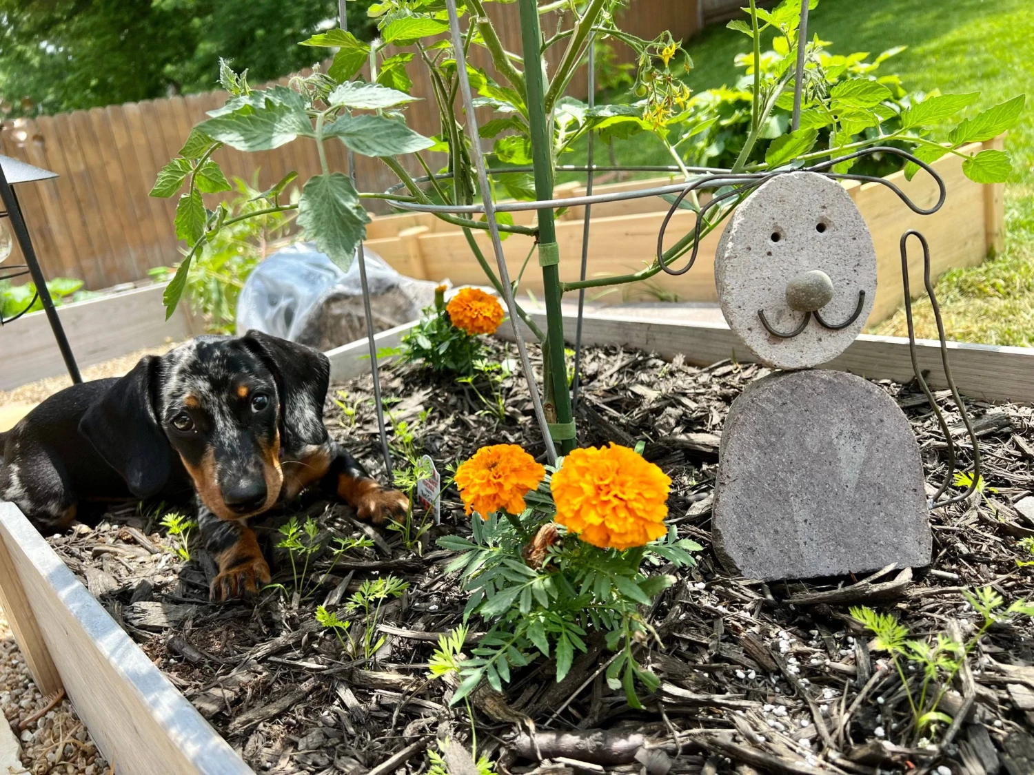 Happy Gardens Statues Dog River Stone Garden Statue 7 Happy Gardens Statues Dog River Stone Garden Statue