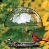 Happy Gardens Dorothy's Cardinal Bird Feeder Birdhouses/Baths