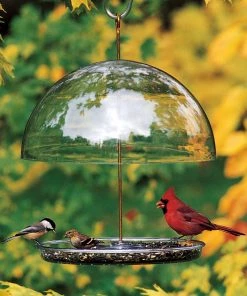 Happy Gardens Dorothy's Cardinal Bird Feeder Birdhouses/Baths