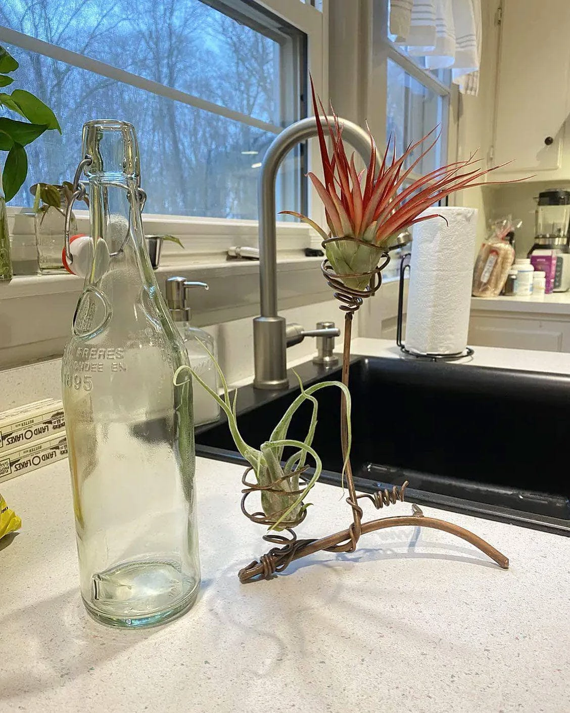 Happy Gardens Double Air Plant Holder Accessories 4 Happy Gardens Double Air Plant Holder Accessories