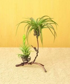 Happy Gardens Double Air Plant Holder Accessories