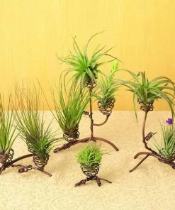 Happy Gardens Double Air Plant Holder Accessories 7 Happy Gardens Double Air Plant Holder Accessories
