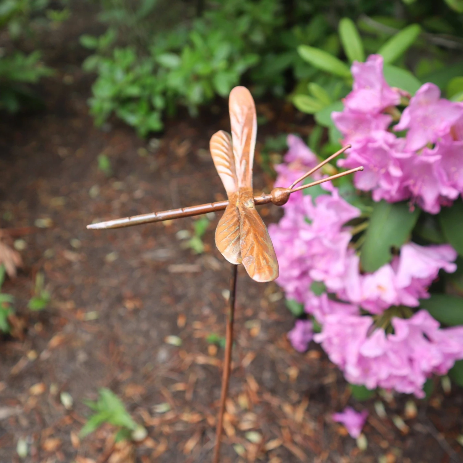 Happy Gardens Dragonfly Garden Stake Garden Stakes & Rain Gauges 5 Happy Gardens Dragonfly Garden Stake Garden Stakes & Rain Gauges
