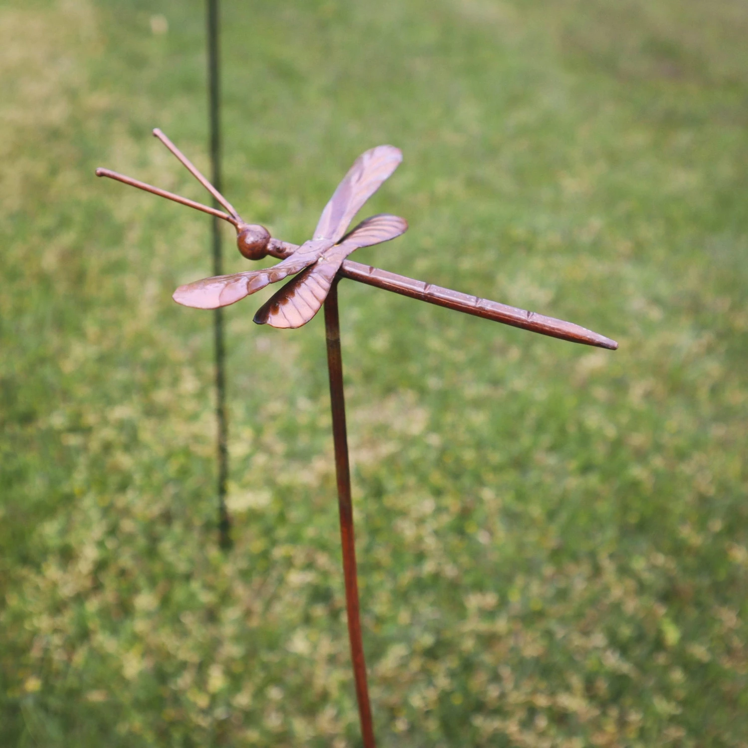 Happy Gardens Dragonfly Garden Stake Garden Stakes & Rain Gauges 7 Happy Gardens Dragonfly Garden Stake Garden Stakes & Rain Gauges