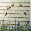 Happy Gardens Dragonfly Whimsy Flutterer Garden Stakes & Rain Gauges 2 Happy Gardens Dragonfly Whimsy Flutterer Garden Stakes & Rain Gauges