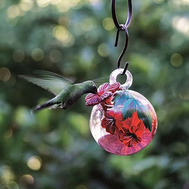 Happy Gardens Droplet Botanica Hummingbird Feeder, Hibiscus 6 Happy Gardens Droplet Botanica Hummingbird Feeder, Hibiscus