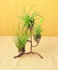 Happy Gardens Sales Store 3 Happy Gardens Elevated Triple Air Plant Holder Best Sellers