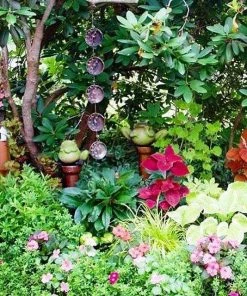 Happy Gardens Five Panel Disc Dragonflies Ornament