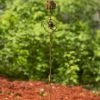 Happy Gardens Garden Stakes & Rain Gauges Flamed Rose Garden Stake