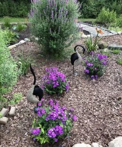 Happy Gardens Geese Pair; 1 Standing, 1 Bowing