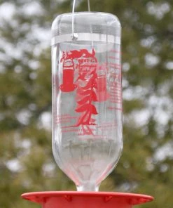 Happy Gardens Glass Hummingbird Feeder, 32 Oz.