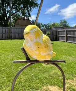 Happy Gardens Hanging Bird Fruit Spear Ornaments