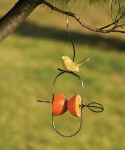 Happy Gardens Sales Store 27 Happy Gardens Hanging Bird Fruit Spear Ornaments