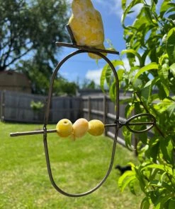 Happy Gardens Hanging Bird Fruit Spear Ornaments