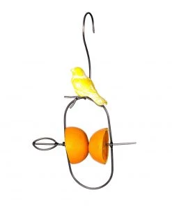 Happy Gardens Hanging Bird Fruit Spear Ornaments