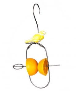 Happy Gardens Hanging Bird Fruit Spear Ornaments