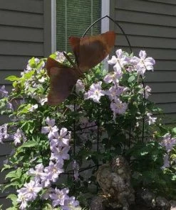 Happy Gardens Hanging Butterfly