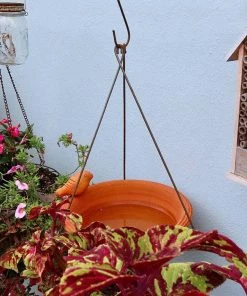 Happy Gardens Hanging Spice Bird Bath 5 Happy Gardens Hanging Spice Bird Bath