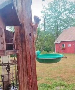 Happy Gardens Hanging Teal Bird Bath Birdhouses/Baths