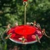 Happy Gardens Happy Eight-2 Hummingbird Feeder