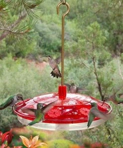 Happy Gardens Happy Eight-2 Hummingbird Feeder
