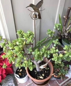 Happy Gardens Garden Stakes & Rain Gauges Hummingbird Garden Stake