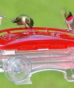 Happy Gardens Jewel Box Window Hummingbird Feeder, 8 Oz.