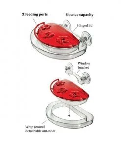 Happy Gardens Jewel Box Window Hummingbird Feeder, 8 Oz.