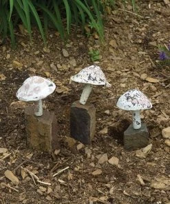 Happy Gardens Little Fungi On Stone Garden Statue Statues