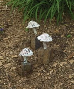Happy Gardens Little Fungi On Stone Garden Statue Statues