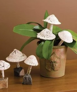 Happy Gardens Little Fungi On Stone Garden Statue Statues