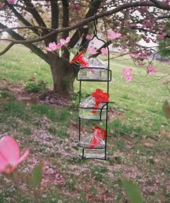 Happy Gardens Lunch Pail Hummingbird Feeder, Clear, 10.5 Oz.