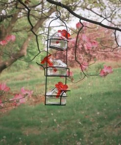 Happy Gardens Lunch Pail Hummingbird Feeder, Clear, 10.5 Oz.