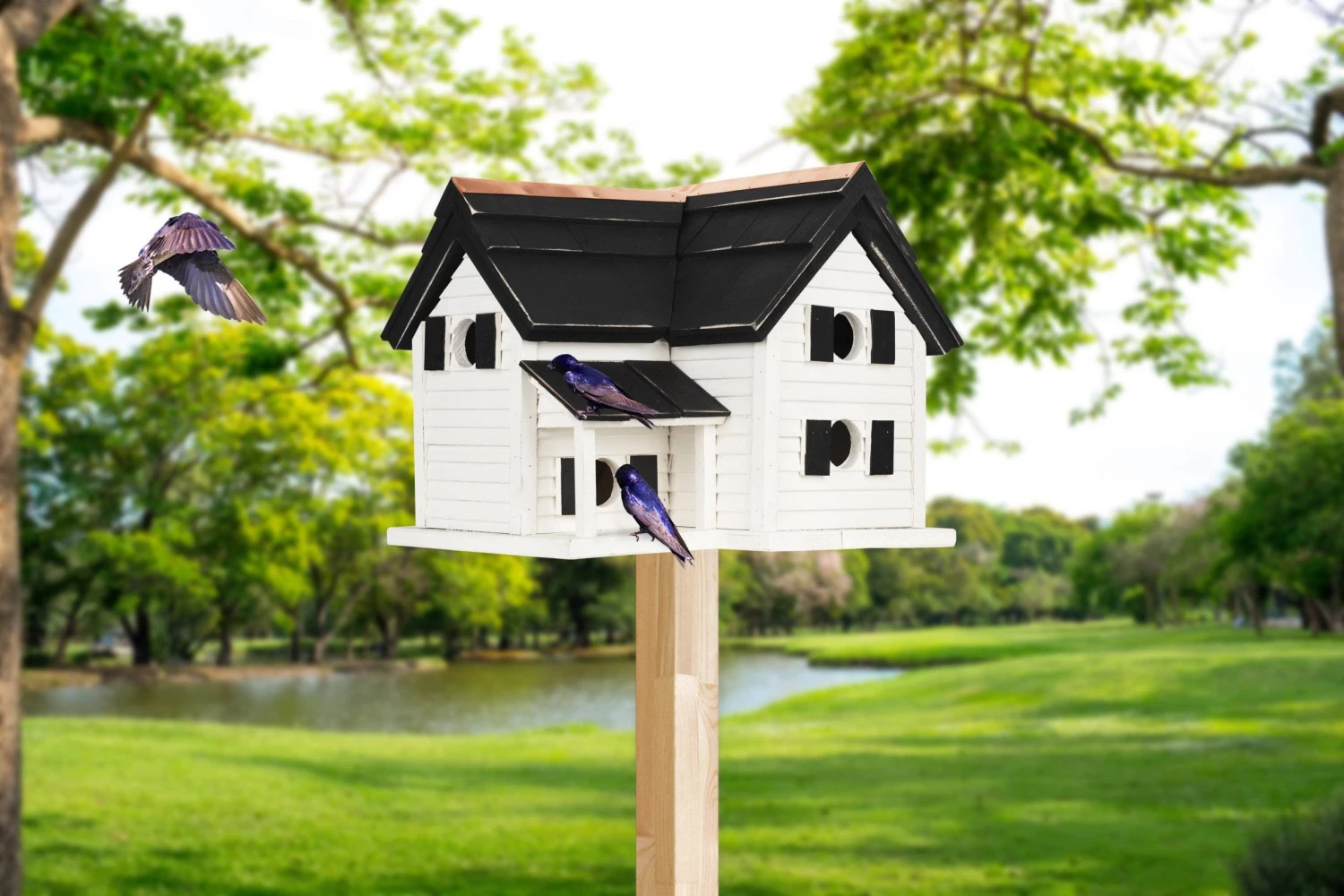 Happy Gardens Montgomery Birdhouse For Purple Martins Birdhouses/Baths 7 Happy Gardens Montgomery Birdhouse For Purple Martins Birdhouses/Baths