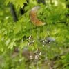 Happy Gardens Mobiles & Wind Chimes Moon And Stars W/Dangles Wind Chime 1 Happy Gardens Mobiles & Wind Chimes Moon And Stars W/Dangles Wind Chime