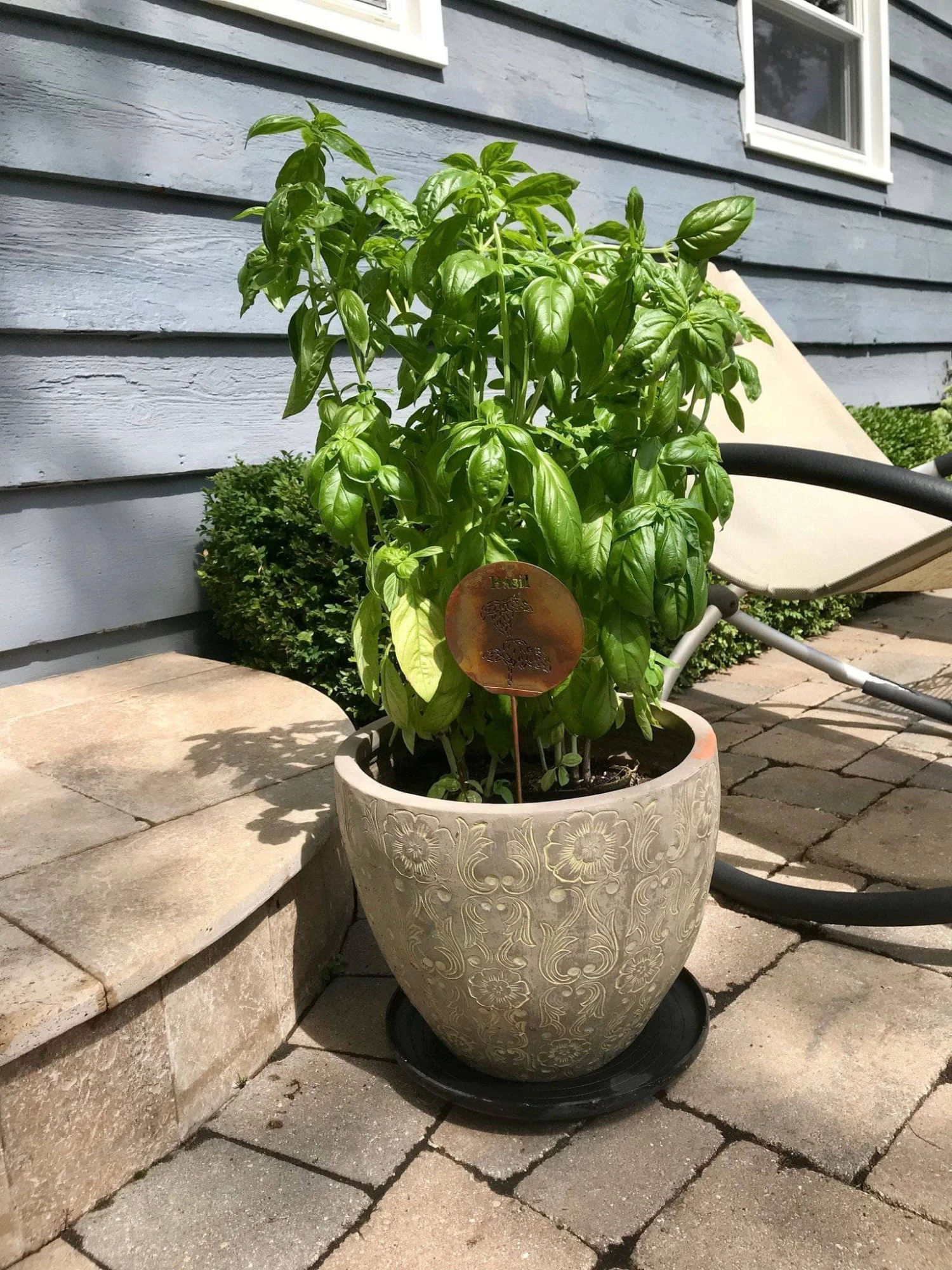 Happy Gardens Garden Stakes & Rain Gauges Oregano Herb Garden Stake 5 Happy Gardens Garden Stakes & Rain Gauges Oregano Herb Garden Stake