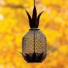 Happy Gardens Birdhouses/Baths Pineapple Bird Feeder